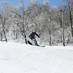 Seven Springs Stoneridge 3 Bedroom Standard Condo - Ski-In Out, Pet Friendly! Condo